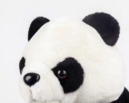 Panda Flute Bag