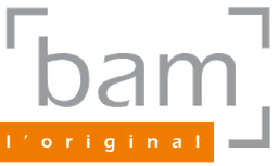 BAM Cases