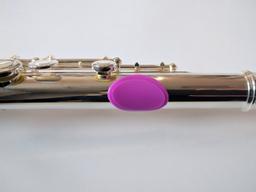 VIOLA per Flauto Traverso