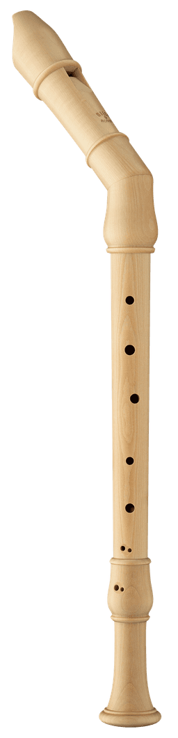 2450 Rondo Tenore Acero