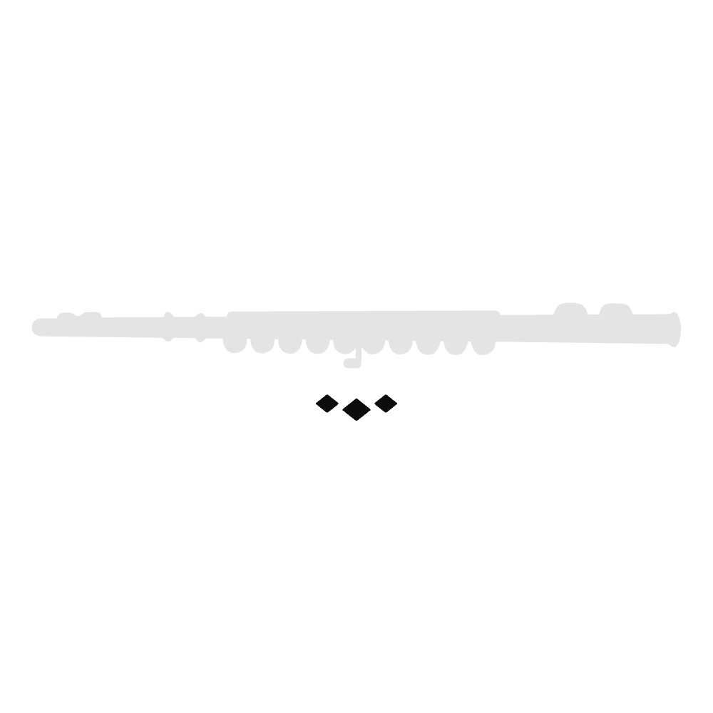 Astuccio nero per testata di METALLO | Suono Flauti