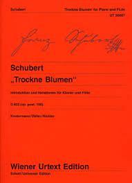 Introduz.E Var.Op.160(Kindermann/Zoeller/Richter) - Franz Schubert | Suono Flauti