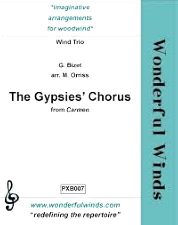 THE GYPSIES' CHORUS - G. Bizet | Suono Flauti