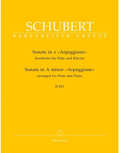 Sonate A Arpeggione - Franz Schubert | Suono Flauti